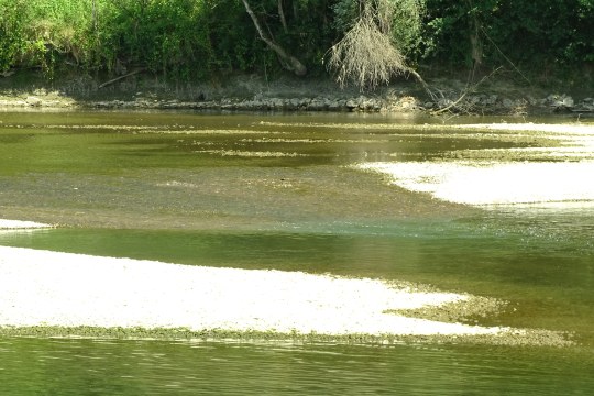 Priel in der Kiesbank bei Niedrigwasser | © Helmut Beran