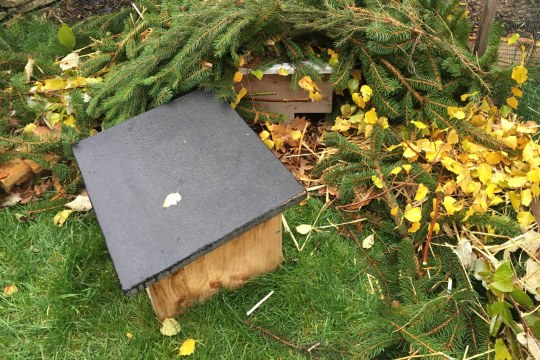 Igelhaus im Garten | © Martina Gehret
