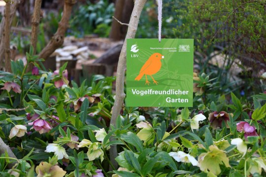 Vogelfreundlicher Garten | © Carola Bria
