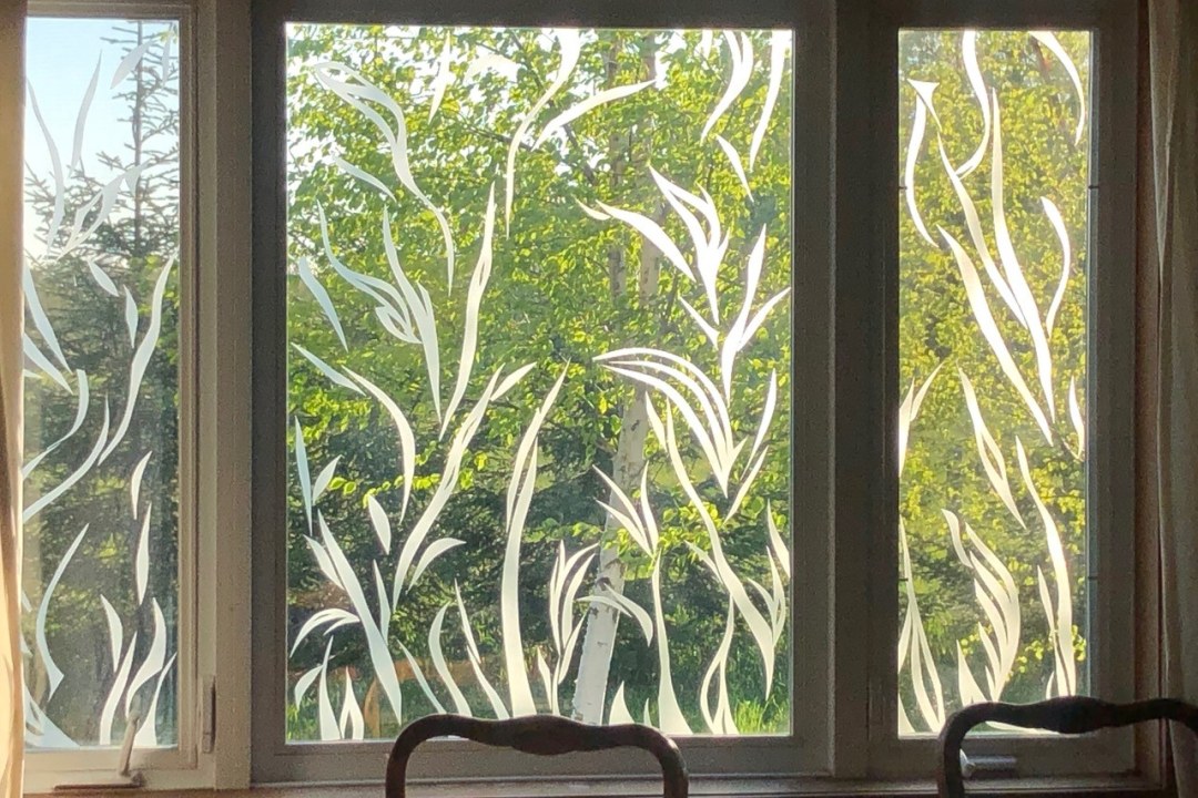 Kreatives Vogelschutzmuster am Glas | © Iris Häußler