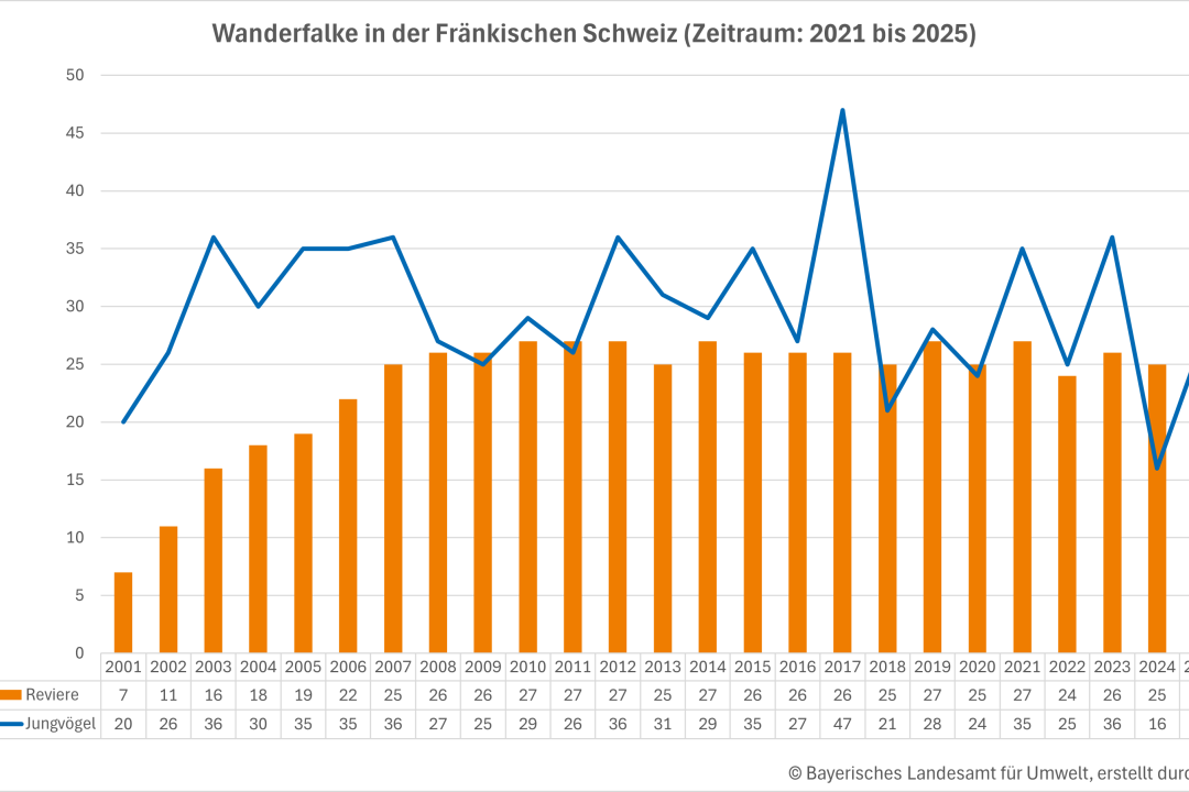 Bestandsentwicklung Wanderfalke in der Fränkischen Schweiz | © LfU, erstellt durch LBV