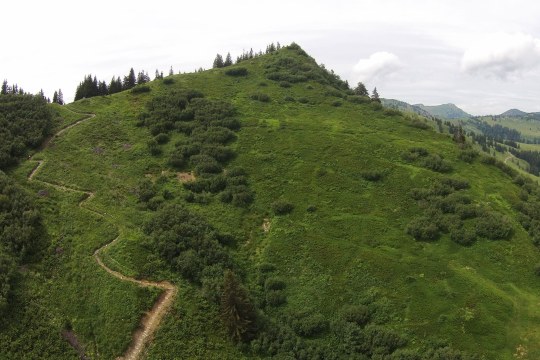 Riedberger Horn im Sommer, der Berg ist grün |  © Henning Werth