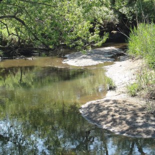 Fluss Schwarzach nach der Renaturierung | © Bernd Raab