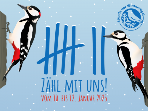 Website Banner Stunde der Wintervögel Motiv zentral