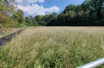 Ingolstadt | © Tabea Wulms (Ingolstadt)