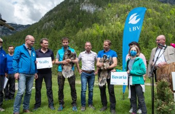 Taufe-der-Bartgeier-Wally-Bavaria | © Hansruedi Weyrich