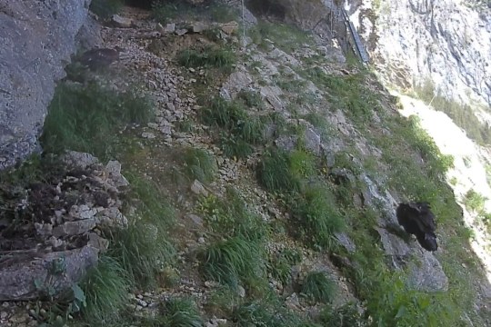 Wiggerl und Vinzenz in der Bartgeiernische