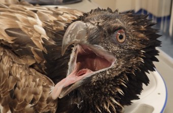 Vinzenz in der Pflegestation 2025 | © Klaus Mayer