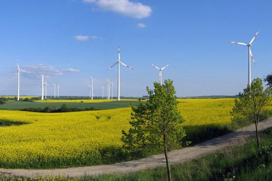 Windräder auf einem Feld in Streu und Saale | © Thomas Staab