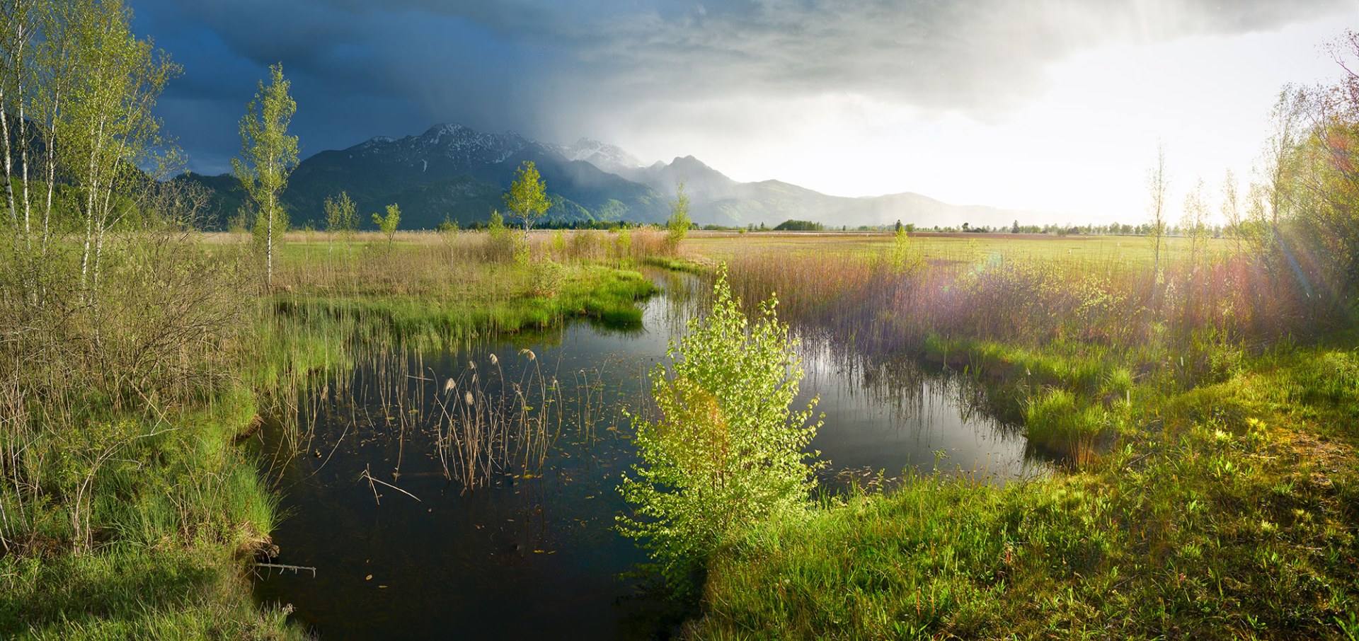 Ein idyllisches Kochelmoor mit Bergblick im Sonnenlicht, gefördert vom Landesbund für Vogel- und Naturschutz in Bayern.