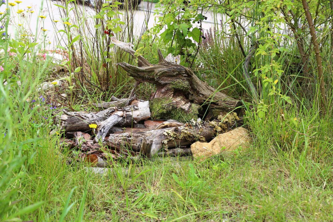 Käferkeller | © Peter Bria