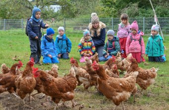 Kindergarten mit Hühnern | © LBV