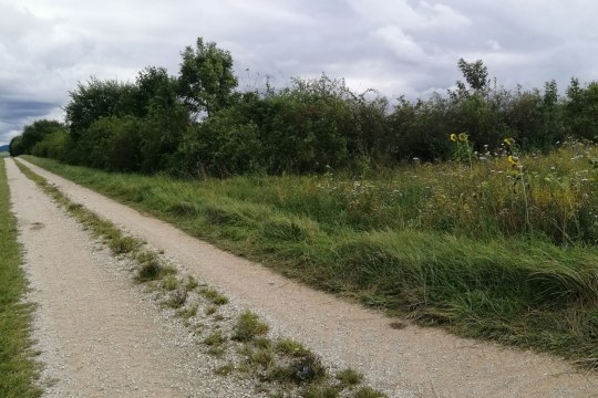 Ausgleichsfläche Röckersbühl Positivbeispiel | © LBV