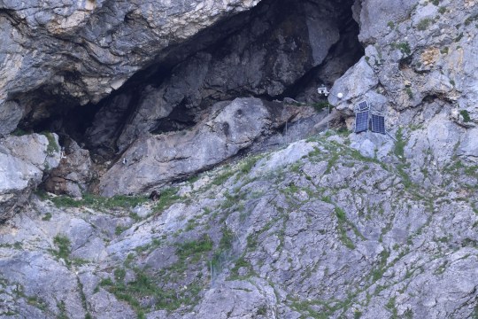 Auswilderungsnische von Weitem | © Markus Leitner