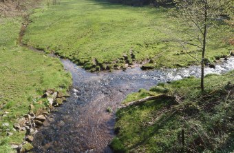 Naturnaher Bach | © Maximilian Sehr