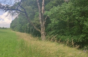 Bamberg | © Dieter Eckert (Bamberg)