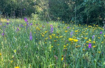 Aichach-Friedberg | © Edith Scheidt (Aichach-Friedberg)