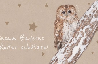 Geschenkmitgliedschaft LBV mit Waldkauz auf dem Cover