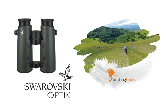 Preise zur Stunde der Wintervögel, ein Fernglas von Swarovski Optik und eine Reise mit birdingtours