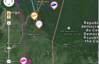 Kucki (rosa) befindet sich deutlich südlicher als Käpt´n Kuck (orange), Reinhard (türkis) und Richard (blau) | © LBV