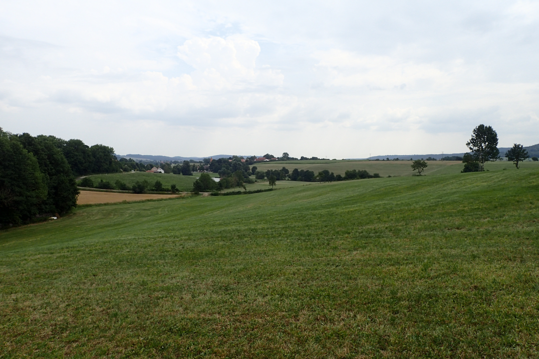 Stukturreiche Kulturlandschaft bietet Vielfalt | © Patricia Danel