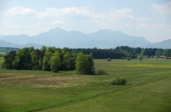 LBV Schutzgebiet Haarmoos | © Eva Schubert