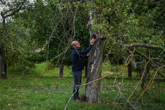 LBV-Vorsitzender Dr. Norbert Schäffer auf Streuobstwiese | © Lena Mucha LBV
