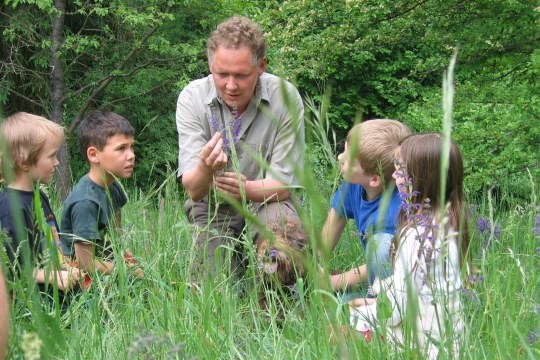 Kinder entdecken den Lebensraum Streuobstwiese | © LBV