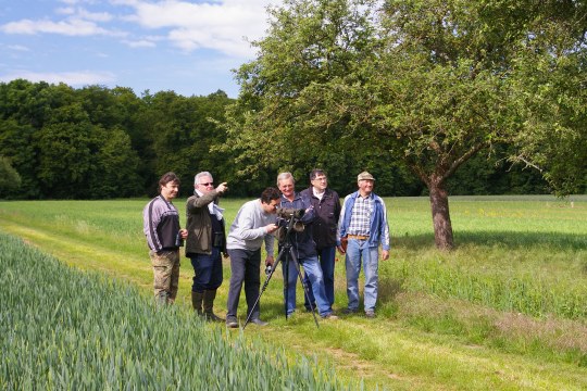 Ortsansässige Landwirte beobachten mit dem Grettstadter Bürgermeister Ewald Vögler und mit Jürgen Kiefer (Naturschutzbehörde Schweinfurt) einen Ortolan | © LBV