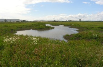 Biotop | © Christiane Geidel