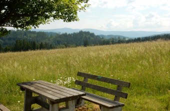 Landschaft nördlich von Schweinhütt wird von der Ortsumgehung durchschnitten werden | © Christian Stierstorfer