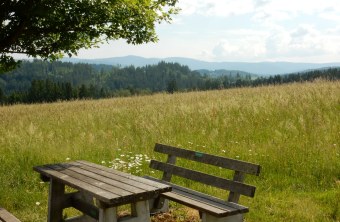 Landschaft nördlich von Schweinhütt wird von der Ortsumgehung durchschnitten werden | © Christian Stierstorfer
