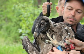 Toni Wegscheider hält Recka und man sieht ihre Beinringe in blau und rot | © Hansruedi Weyrich