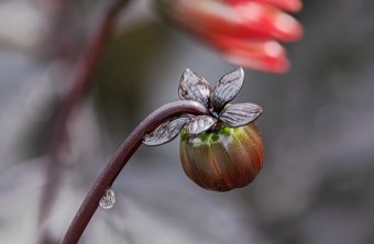 Berchtesgadener Land | © Rico Niemann (Berchtesgadener Land)