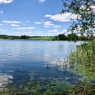 Rothsee Ostufer im Juli | © Nathaly Neusser