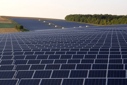 Landschaft mit einer Menge Solaranlagen. Am rechten Horizont sieht man mehrere Bäume stehen | © Oliver Wittig