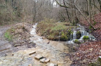 Vergleich des Bachlaufes-Eggerbach_Ausgebaggert LINKS und urspruenglicher Zustand ueberall RECHTS | © Eva Schubert