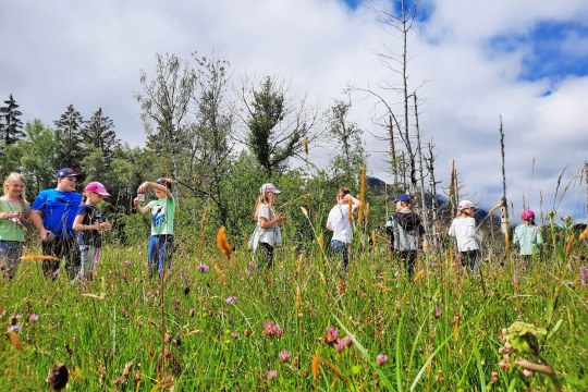 Kinder erkunden eine blühende Wiese und erleben Vielfalt | © Monika Schirutschke