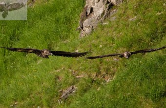 Vinzenz und Wiggerl 2024 | © Günther Angermaier