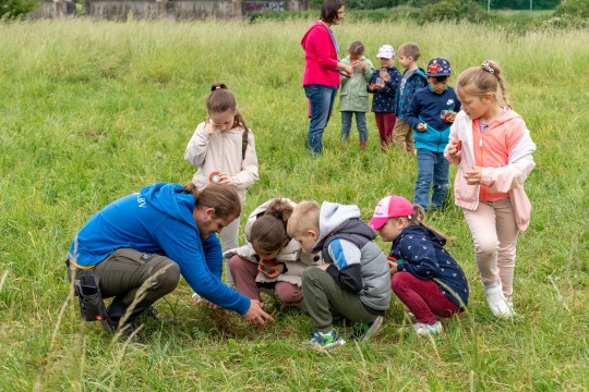 Kinder erkunden mit einem LBV-Mitarbeiter eine Wiese | © Robert Pirzer