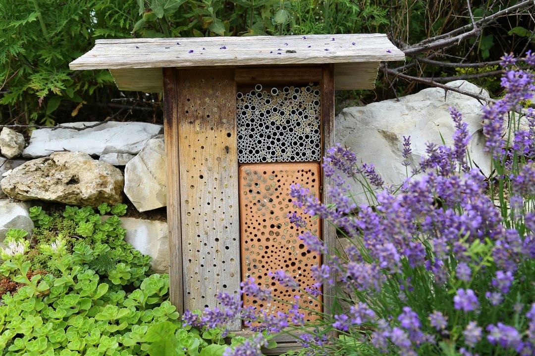 Wildbienenhaus | © Peter Bria