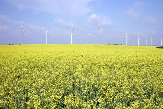 Windräder auf einem Feld in Streu und Saale | © Dr. Christoph Mohning