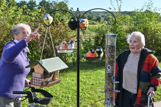 Zwei Seniorinnen an der Plüschvögel-Futterstation | © Tobias Tschapka