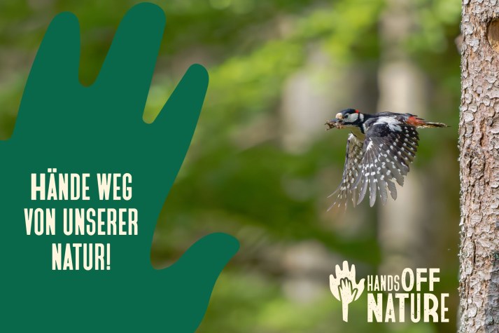 Ein Buntspecht fliegt mit Beute im Schnabel vor einem Baum, begleitet von der Botschaft "Hände weg von unserer Natur!" | © Stefan Urlbauer