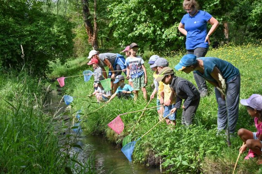 Keschern am Gänsbach | © Tobias Tschapka