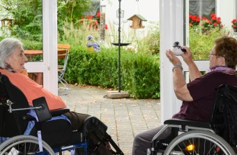 Beobachtung am Vogelfenster | © Tobias Tschapka