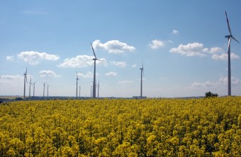 Windräder in Rapsfeldern | © Thomas Staab