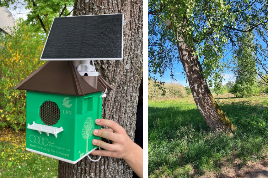 Prototyp Horchbox/Baum auf der Landesgartenschau | © Audi/B. Borgetto
