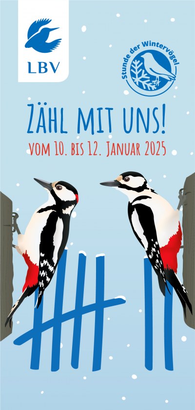 Flyer Stunde der Wintervögel 2025