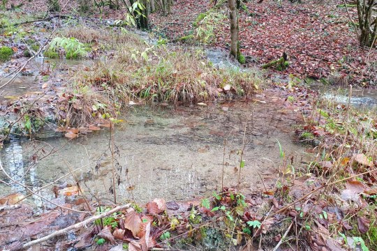 Verbliebene Stillwasserzone | © Eva Schubert